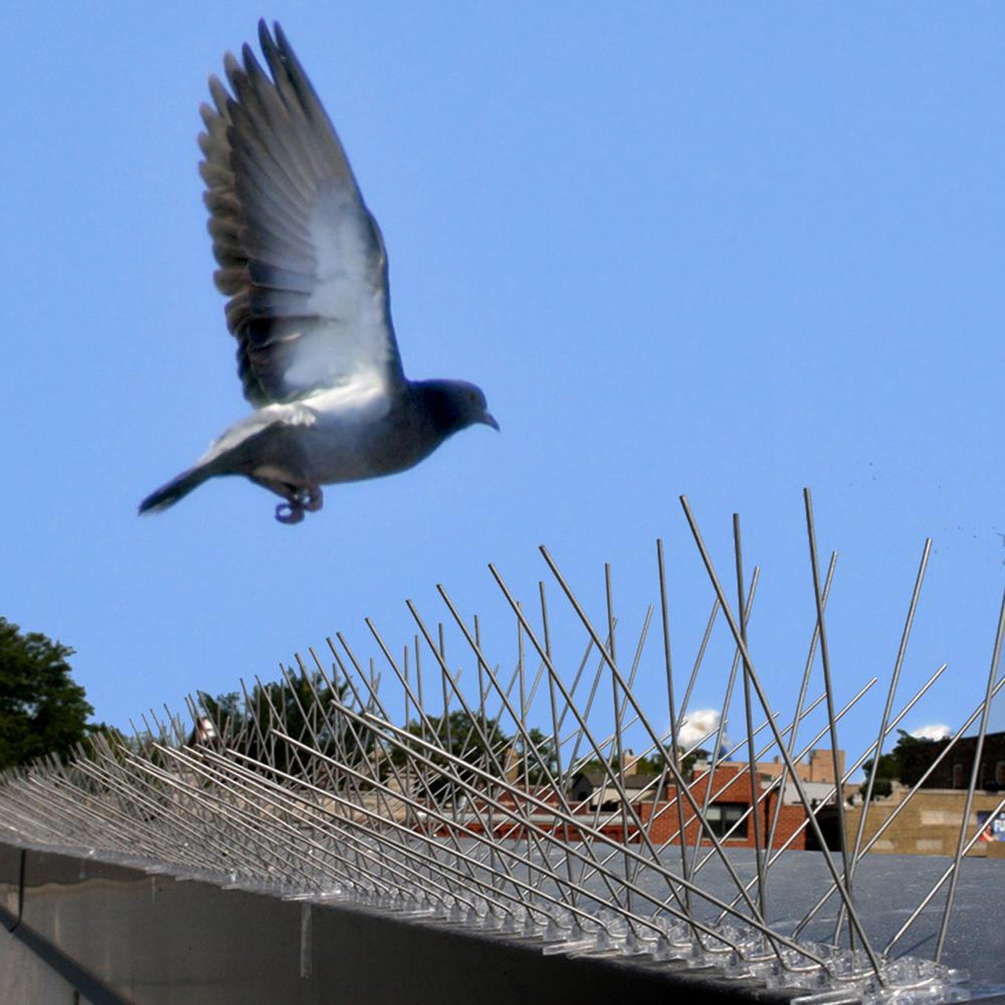 Puntas Alambre Espanta Palomas Largo 50 Cm Caja 10 Unidades